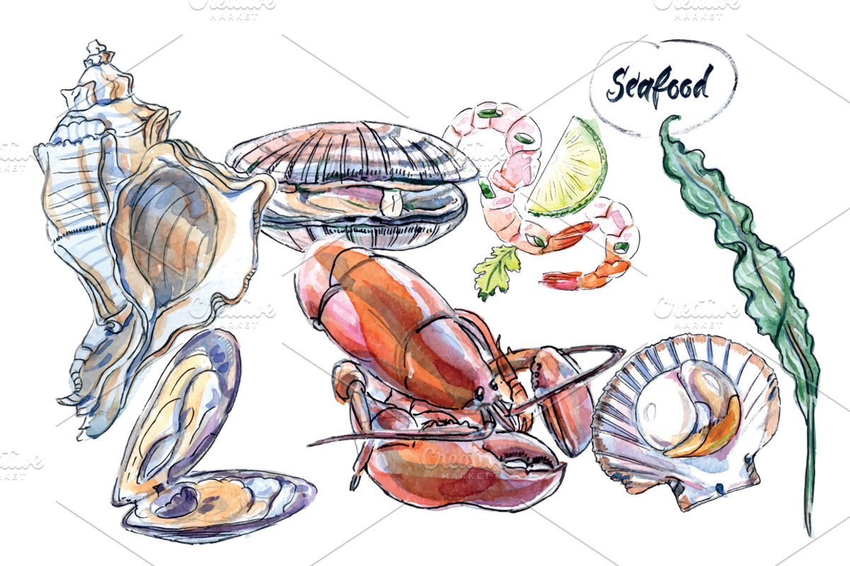 Watercolor shellfish set, an Animal Illustration by miminoshka (Photo 2 of 7)