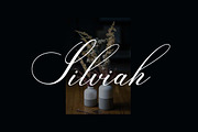 Katherina Marceline Calligraphy Font, a Handwritten Font by UICreative (Thumbnail 2 of 13)