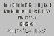 Cloudwick, a Serif Font by LetterStock (Thumbnail 6 of 6)