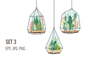 Plants and cacti in terrariums, a Decorative Illustration by Primula`s shop (Thumbnail 3 of 4)