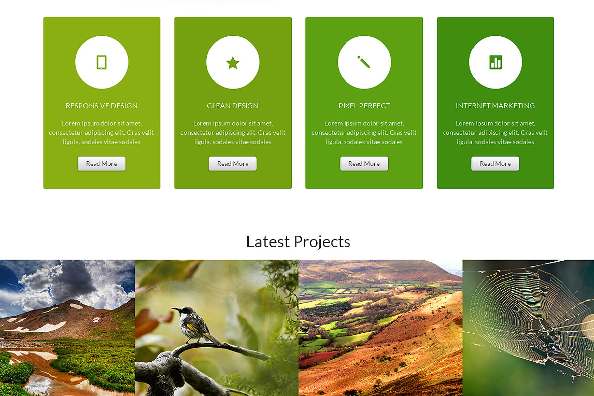 Spring Bootstrap Responsive Theme, a Bootstrap Template by IceTemplates