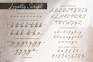 Loyalty Script Fonts