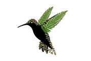 Decorative Floral Hummingbird Bundle, an Illustration by jahid234 (Thumbnail 27 of 31)