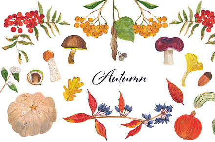 Autumn illustrations & patterns