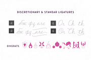 BLACK FRIDAY Delirio Font Family, a Script Font by graffistyling (Thumbnail 10 of 20)