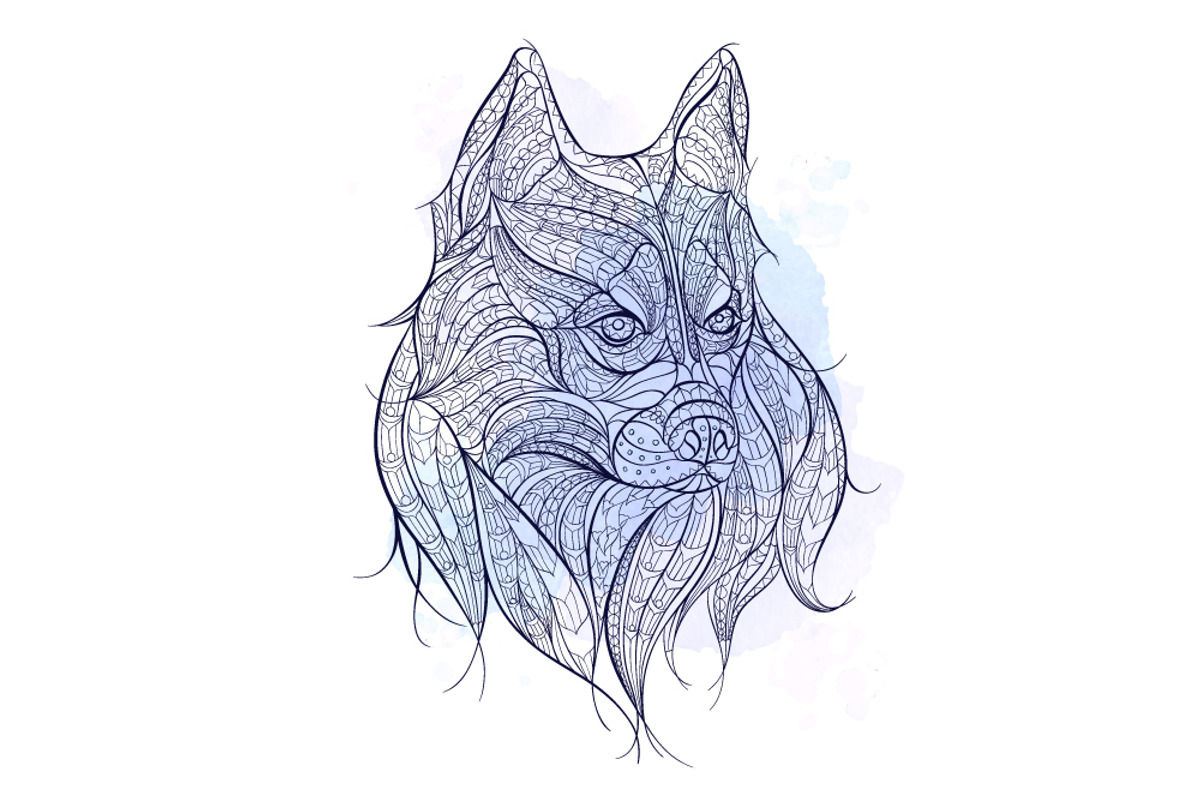Ethnic Collection: Husky, an Animal Illustration by ArtoJoy (Photo 5 of 5)