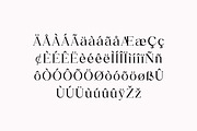Palatines Serif Display Family Font, a Serif Font by UICreative (Thumbnail 4 of 13)