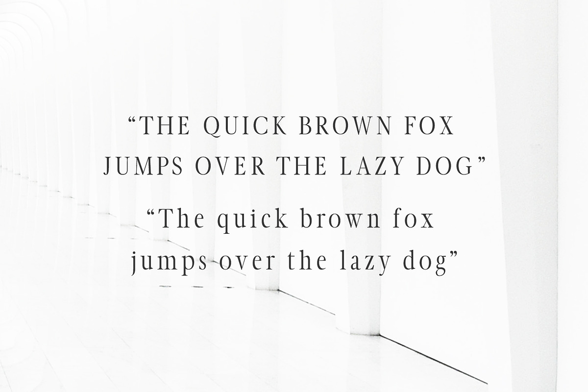 Glamour Luxury Serif Font Family preview 3