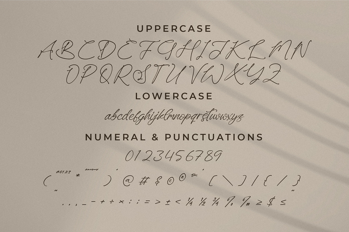 Kaleagnetta, a Handwritten Font by Integritype Studio (Photo 9 of 15)