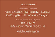 Destine | Modern Display Serif, a Serif Font by Ef Studio (Thumbnail 12 of 12)