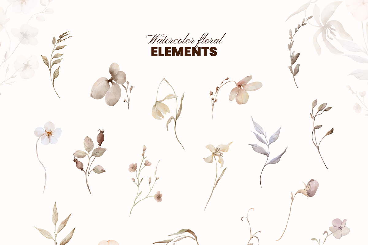 Neutral Botany Watercolor Clipart, a Decorative Illustration by Yuliia Lashevska (Photo 10 of 11)