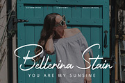 Avalline - Handwritten Script, a Script Font by Lettermine (Thumbnail 5 of 10)