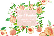 Peach. Watercolor clip art., a Graphic by LABFcreations (Thumbnail 3 of 3)