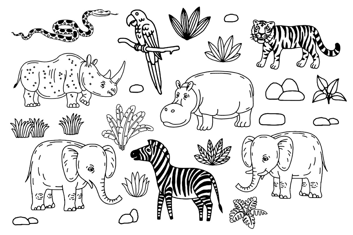 FUNNY JUNGLE 2, an Animal Illustration by Tanya Akhmett (Photo 3 of 10)