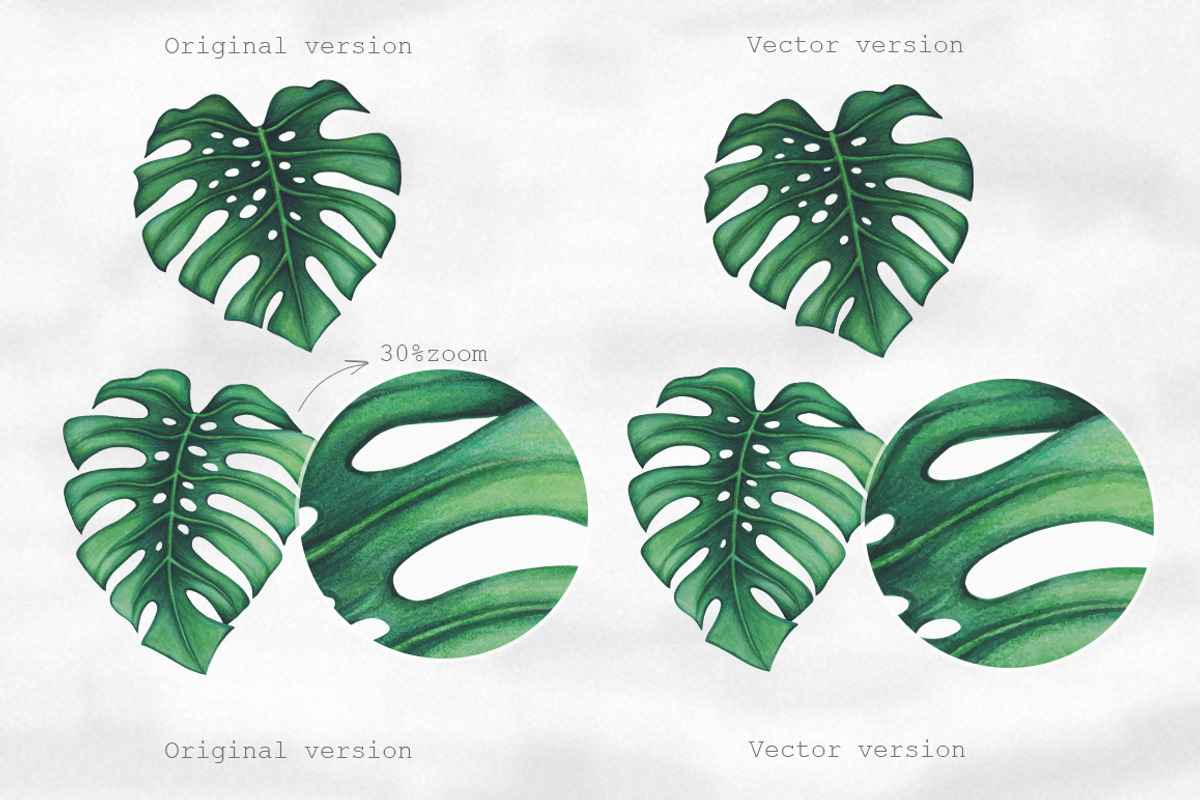 Palm tree leaves + patterns, a Decorative Illustration by Bigio Designs (Photo 2 of 4)