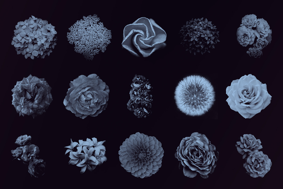 Elegant Floral Photoshop Brushes, a Brush Add-On by Milka (Photo 3 of 10)