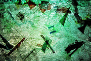 Dirty blue abstract,Recycled chirpy, an Abstract Photo by Manis recycle abstract (Thumbnail 1 of 3)