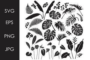 Tropical Leaves and Flowers