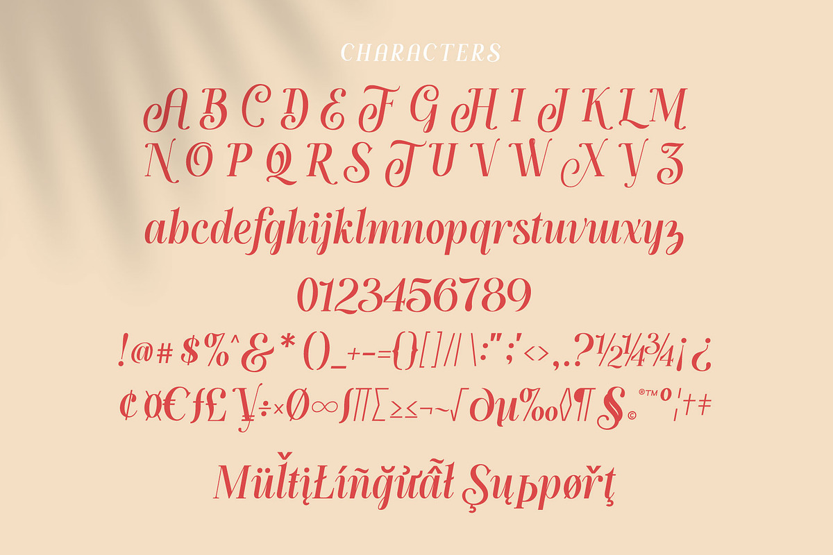 Handy Quomte, a Script Font by alit design (Photo 6 of 18)