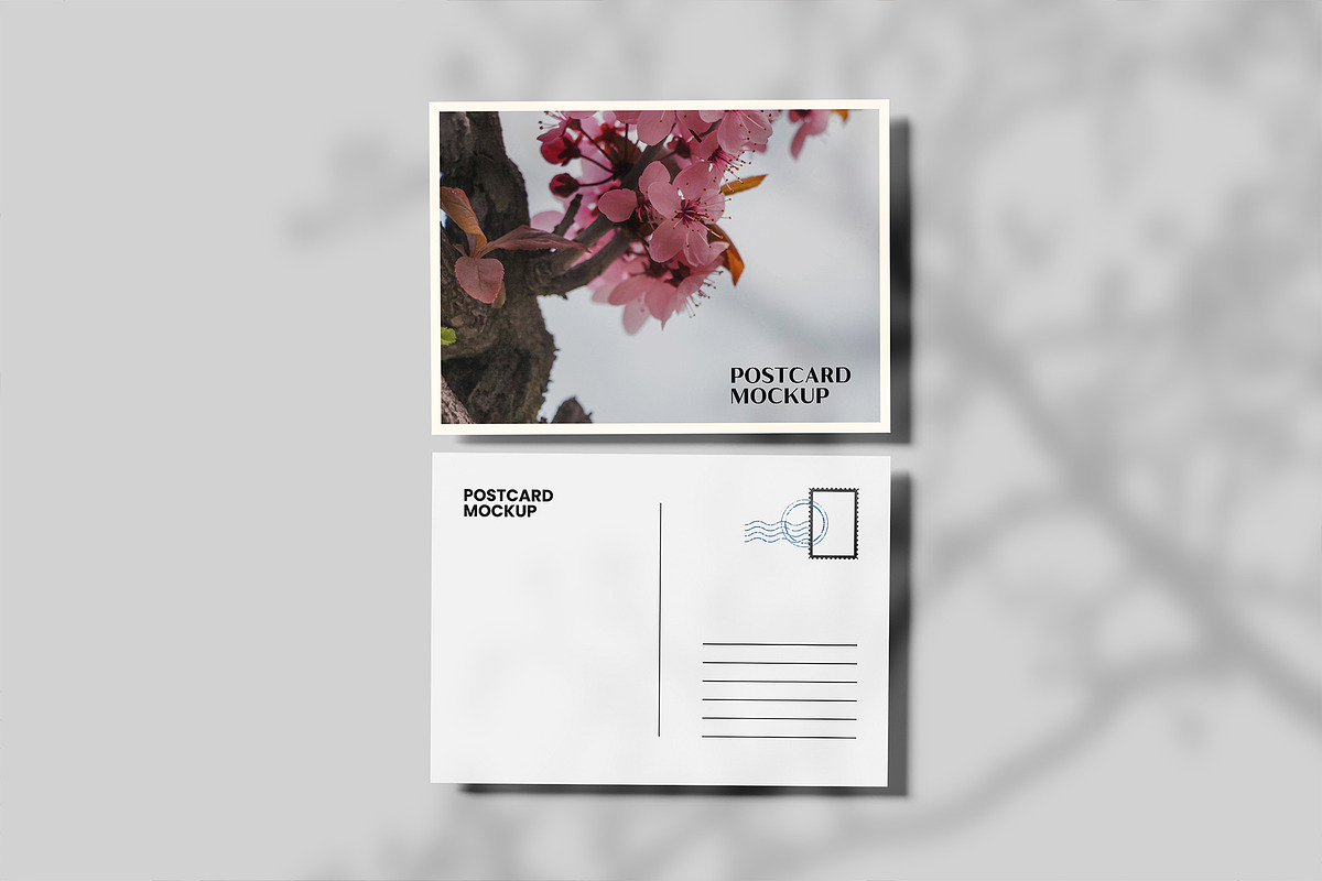 Postcard Mockup, a Product Mockup by Bangdastudio (Photo 3 of 10)