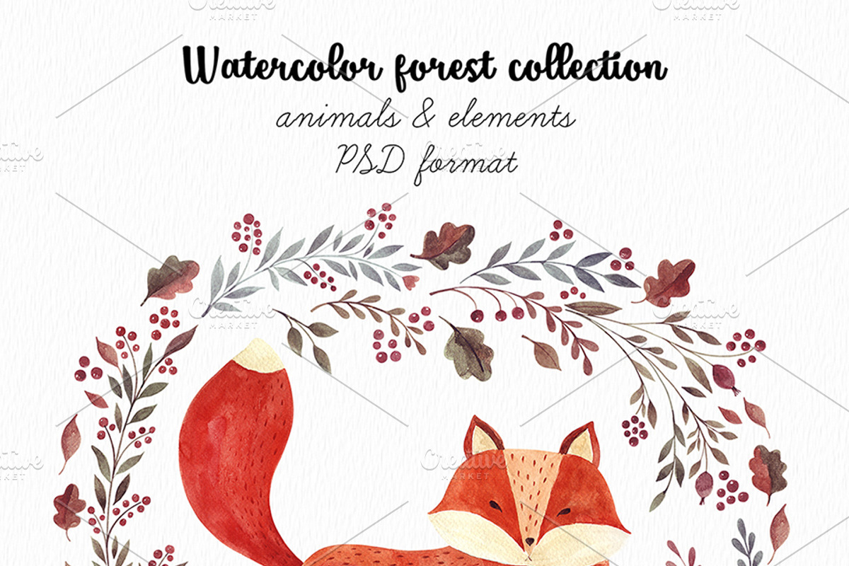 Watercolor autumn collection, an Animal Illustration by MoleskoStudio (Photo 3 of 10)
