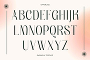 Bagnolia - Serif Display, a Serif Font by Nirmana Visual (Thumbnail 5 of 11)