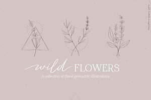 Wild flowers illustration clipart