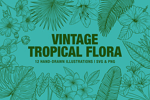 Vintage Tropical Flora Illustrations