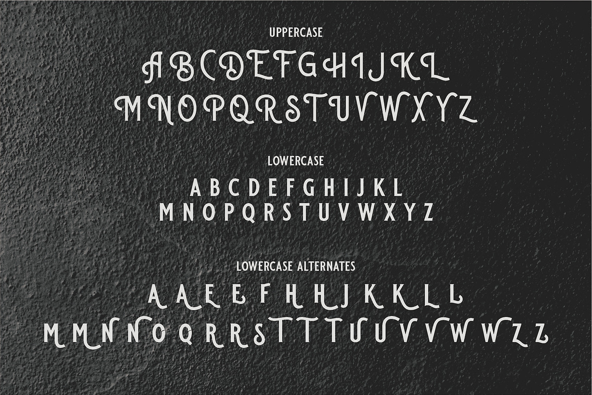 AIRFIELD - Vintage Typeface, a Serif Font by Havinkpen (Photo 7 of 8)