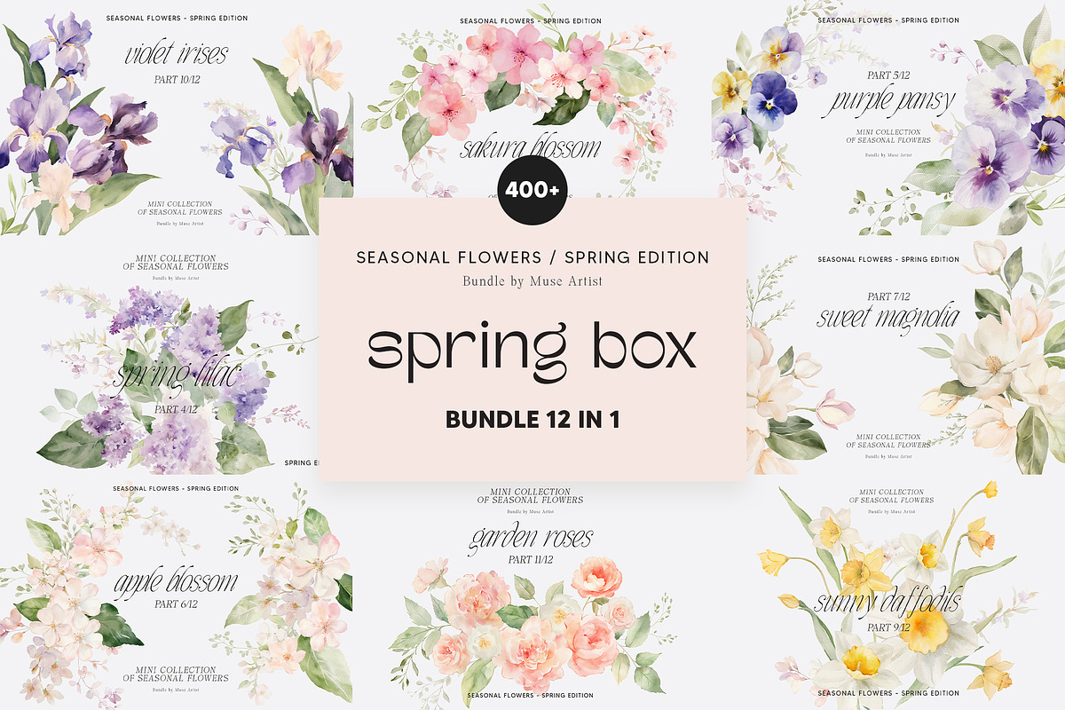 SPRING BOX Watercolor Bundle 400+, a Decorative Illustration by Muse Artist (Photo 1 of 99)