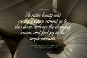 Mahogany Wedding Script Font, a Script Font by Graphicxell (Thumbnail 6 of 8)