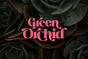 Jaella - Modern Serif Font, a Serif Font by creativemedialab (Thumbnail 3 of 15)