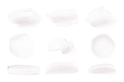 Bronte | Botanical set | 280+ images, an Illustration by Karma (Thumbnail 26 of 39)