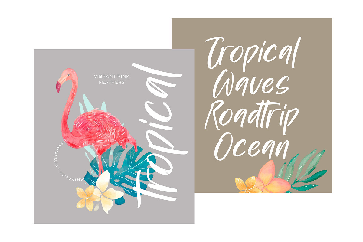 Bestovy Wisher Modern Handbrush Font, a Script Font by stylishtype.co (Photo 6 of 15)