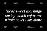 Arcane - 2 style font, a Sans Serif Font by InkwellTypeCo (Thumbnail 3 of 8)