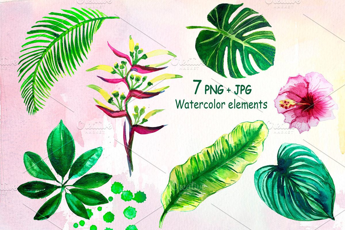 Watercolor tropical leaves Clipart, a Decorative Illustration by lilisavelieva (Photo 4 of 7)