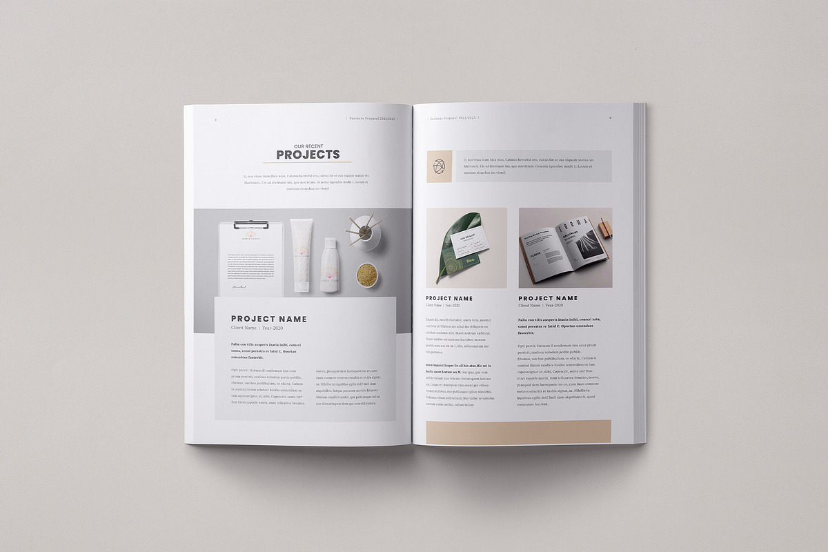 Project Proposal | InDesign, Docx, a Brochure Template by Theme Weavers (Photo 3 of 7)