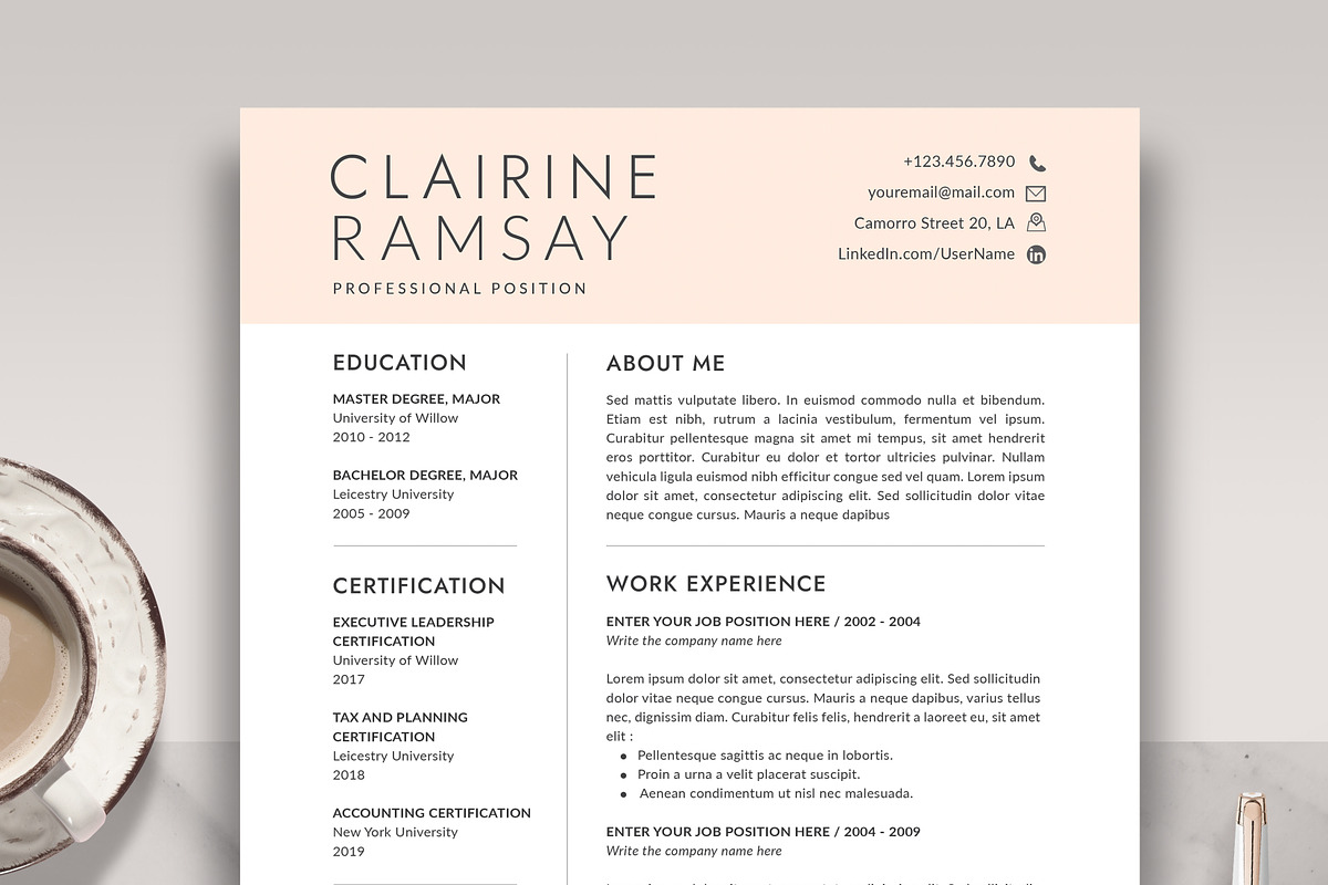 Professional Resume Template RE014, a Resume Template by Draca Design Co (Photo 1 of 3)