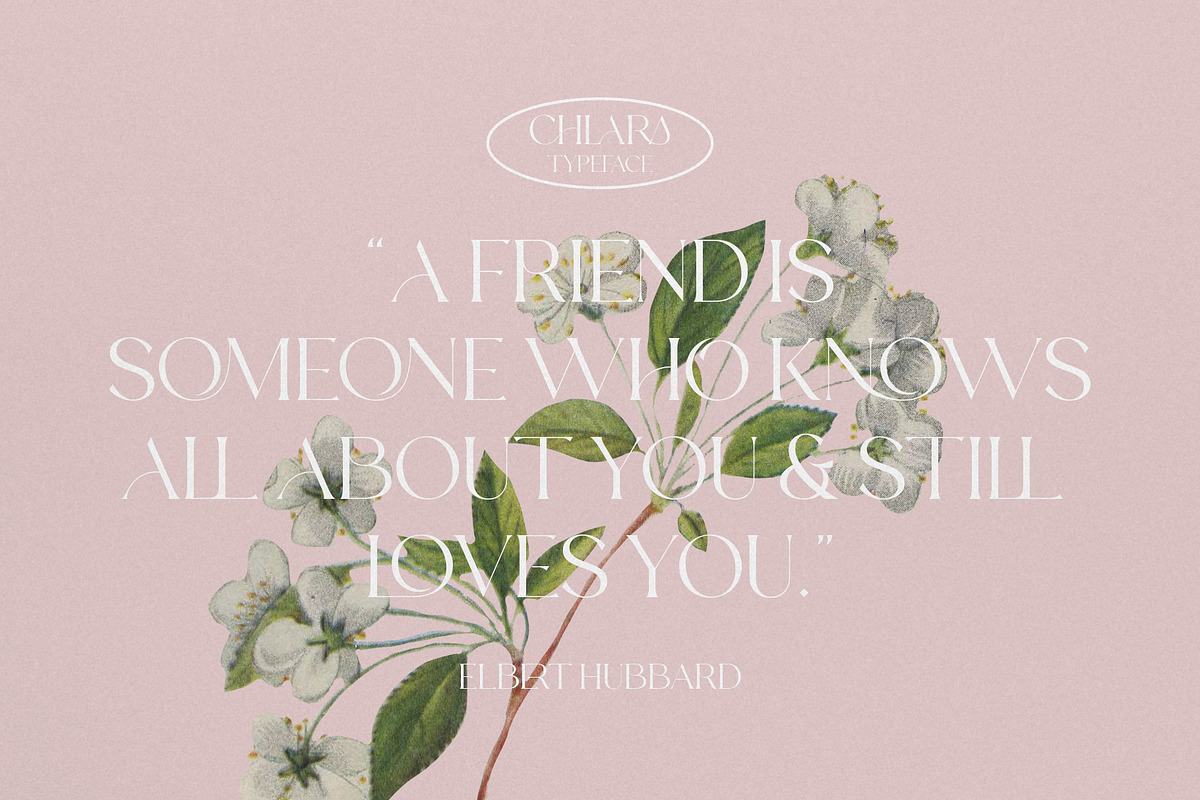 CHLARA | Modern Ligature Serif, a Sans Serif Font by Krismagraph (Photo 4 of 12)