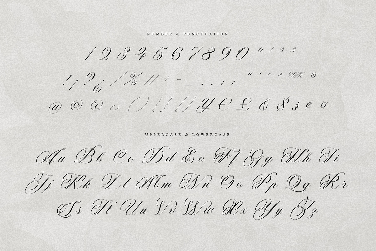 Nightshade – Elegant Calligraphy, a Script Font by Krismagraph (Photo 8 of 10)