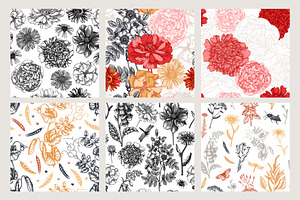 Summer Flower Sketches & Designs