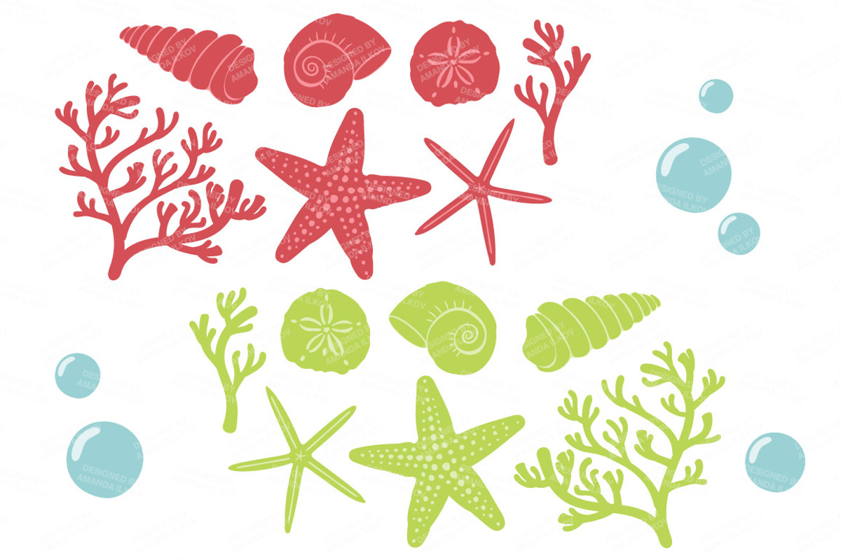 Seashells Clipart in Fresh, an Illustration by Amanda Ilkov (Photo 5 of 5)