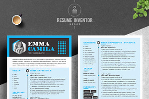 Professional Curriculum Vitae