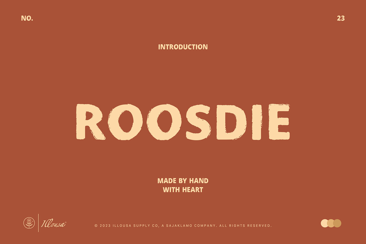 Roosdie Typeface | Vintage Font, a Sans Serif Font by Illousa (Photo 1 of 6)