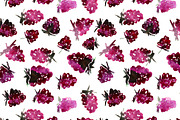 Very berry watercolor patterns, a Pattern Graphic by Katerina Tova (Thumbnail 3 of 9)