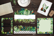 Tropical leaves old pharmacy bottles, an Illustration by marie dricot (Thumbnail 7 of 12)