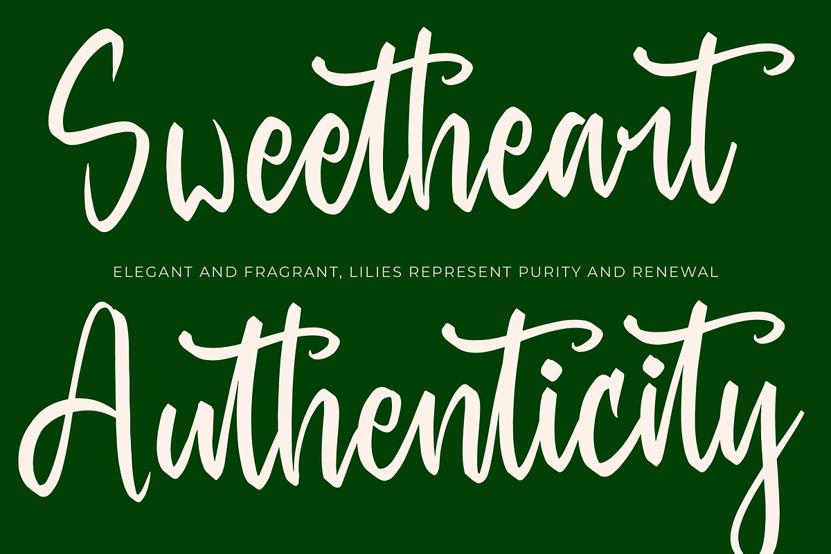 Baghera Thenetta Modern Handwritten, a Script Font by stylishtype.co (Photo 4 of 20)