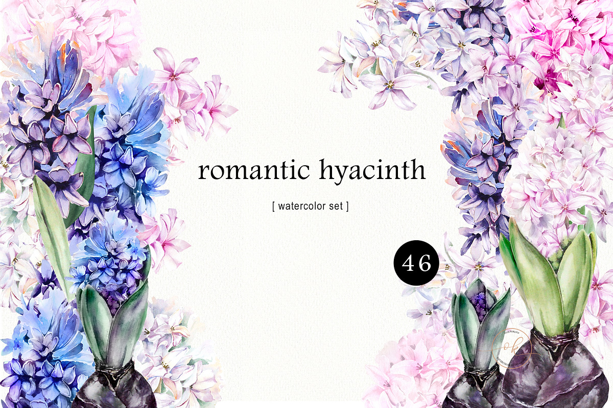 Romantic Hyacinths, an Illustration by Olga Koelsch (Photo 1 of 7)