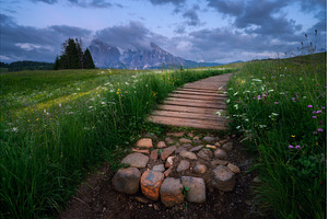 Scenic landscape with a wooden path, a Nature Photo by den-belitsky