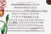 Stogne Gesture Modern Luxury Font, a Sans Serif Font by timelesstype.co (Thumbnail 18 of 20)